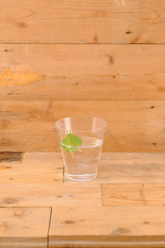 松徳硝子 KATACHI Vシリーズ / V-glass